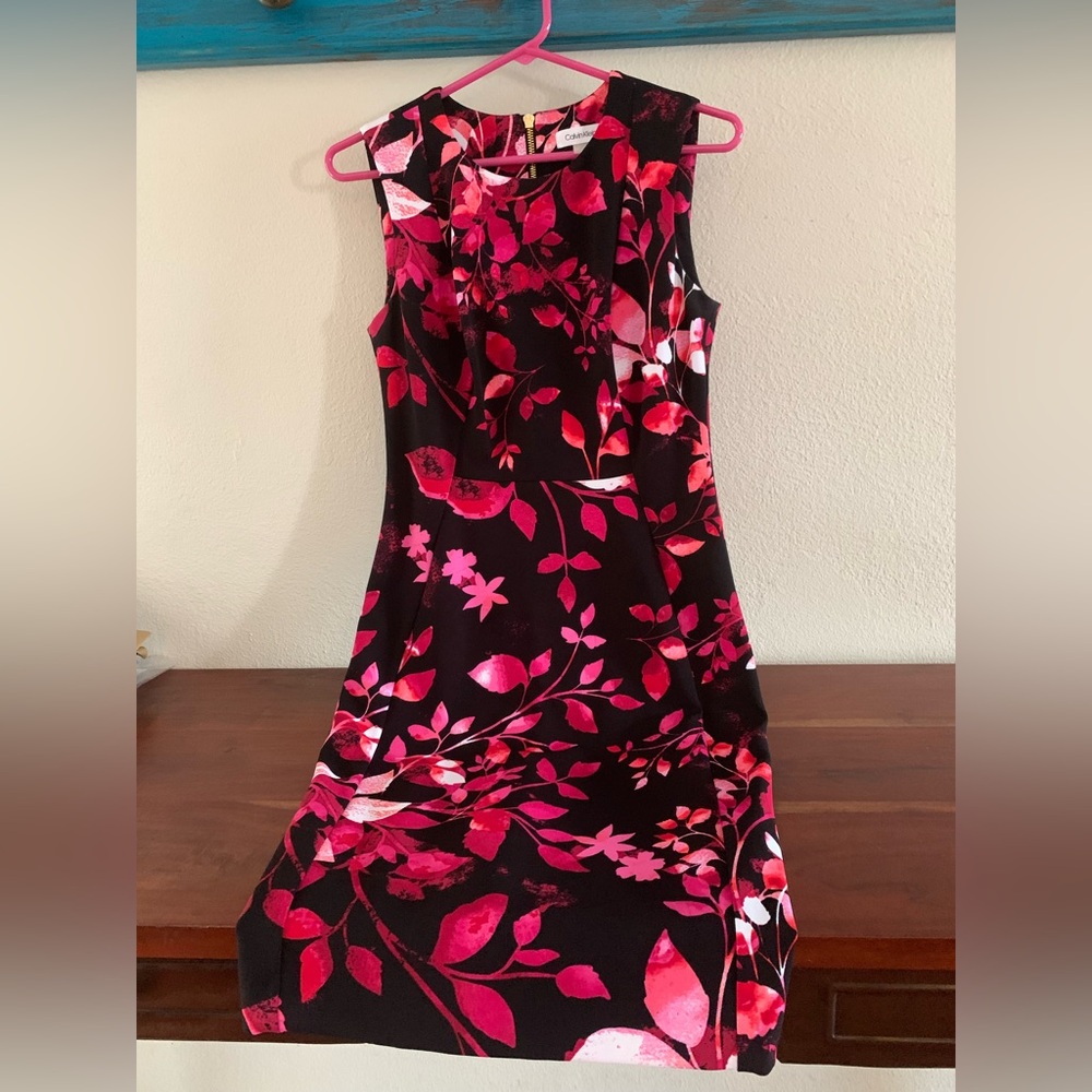 Calvin Klein persimmon multi sleeveless princess sheath dress-size 4